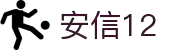安信12(中国)创新平台科技有限公司